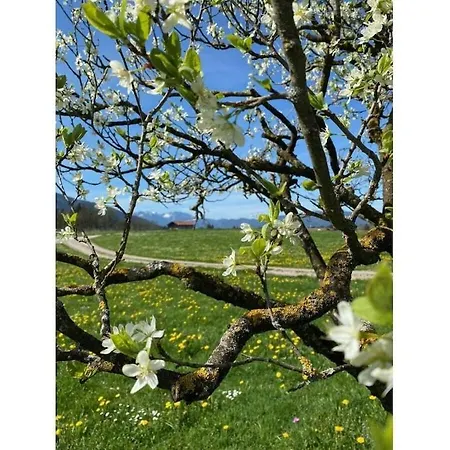 Melf 3 Comfortable Holiday home